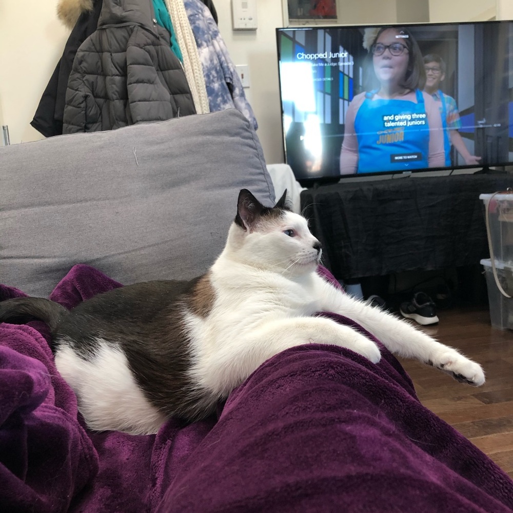 Meet your Posher, Rebecca